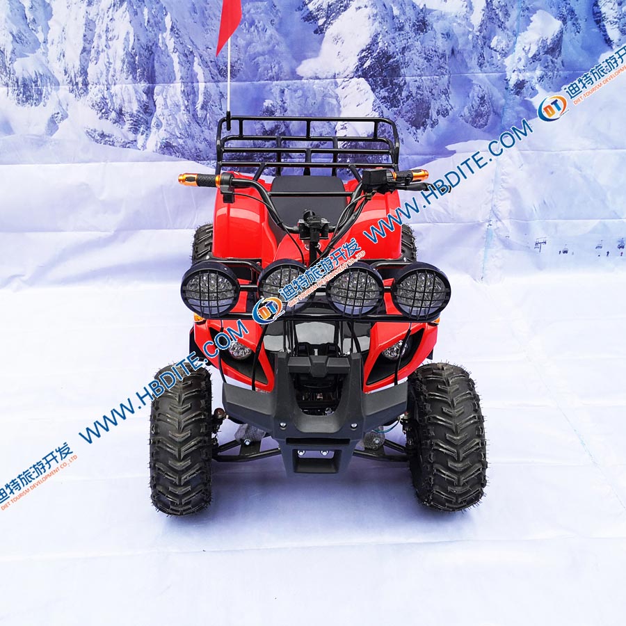 中公牛.jpg 中公牛.jpg