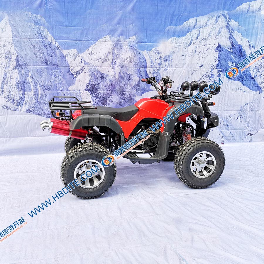 大公牛.jpg 大公牛.jpg